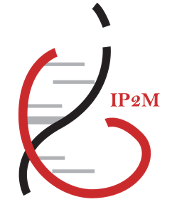 IP2M logo
