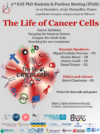 The life of cancer cells
