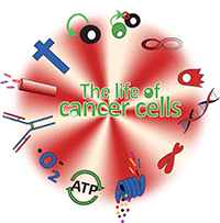 life of cancer cells